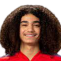 https://img.yyxgmn.com/img/football/player/87359ed9061cfd73513d827263deebcd.png